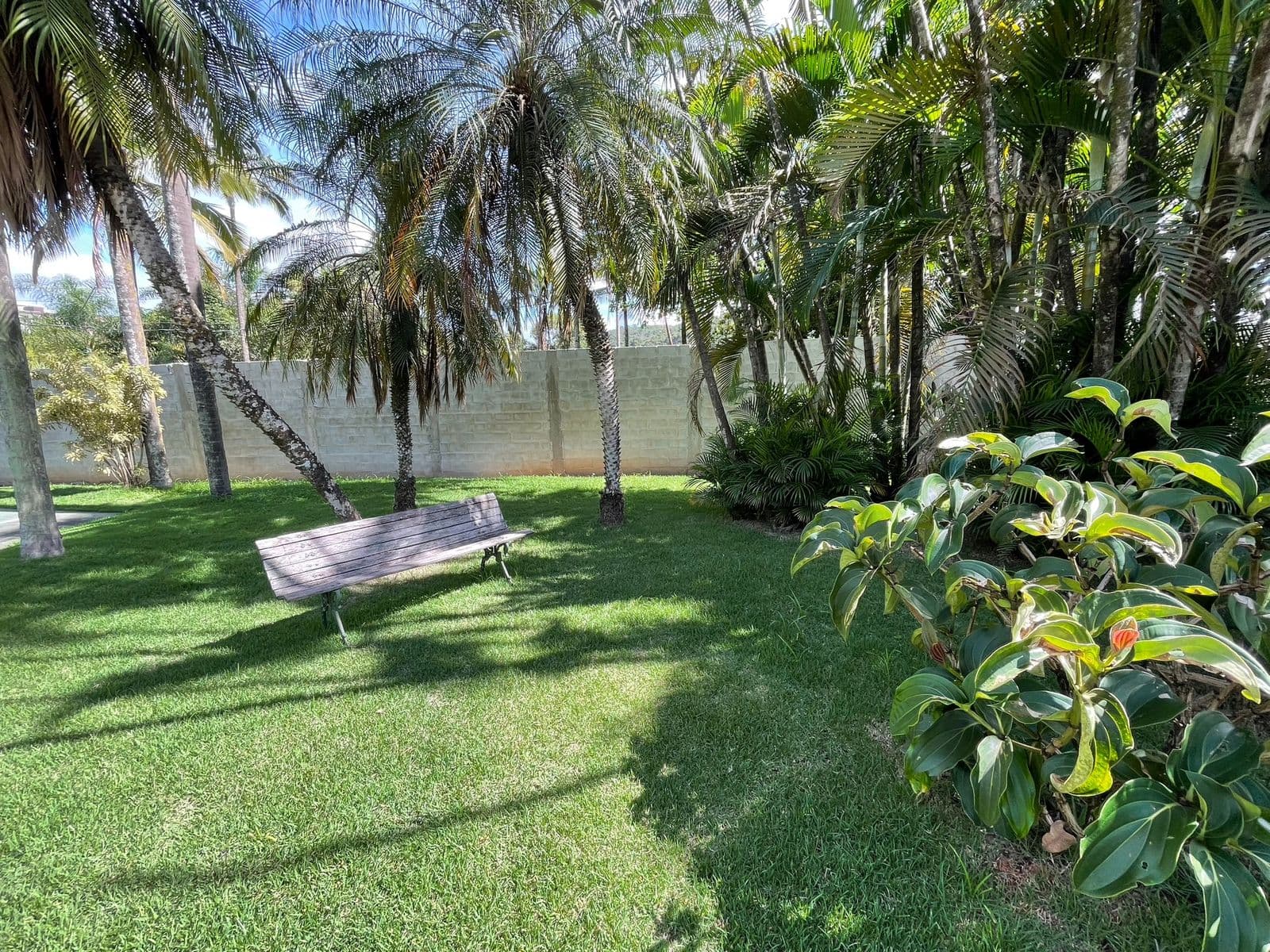 Balanço de jardim na sombra das árvores, sobre o gramado