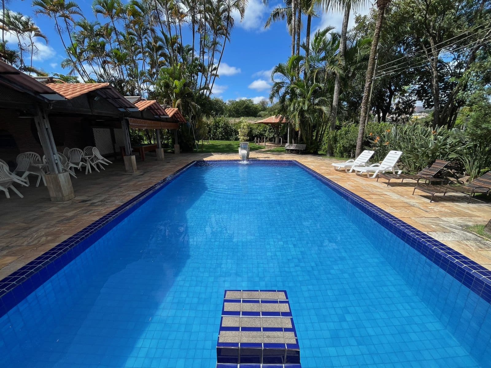 Piscina vista no comprimento, com escada de azulejo azul e o verde do sítio em volta