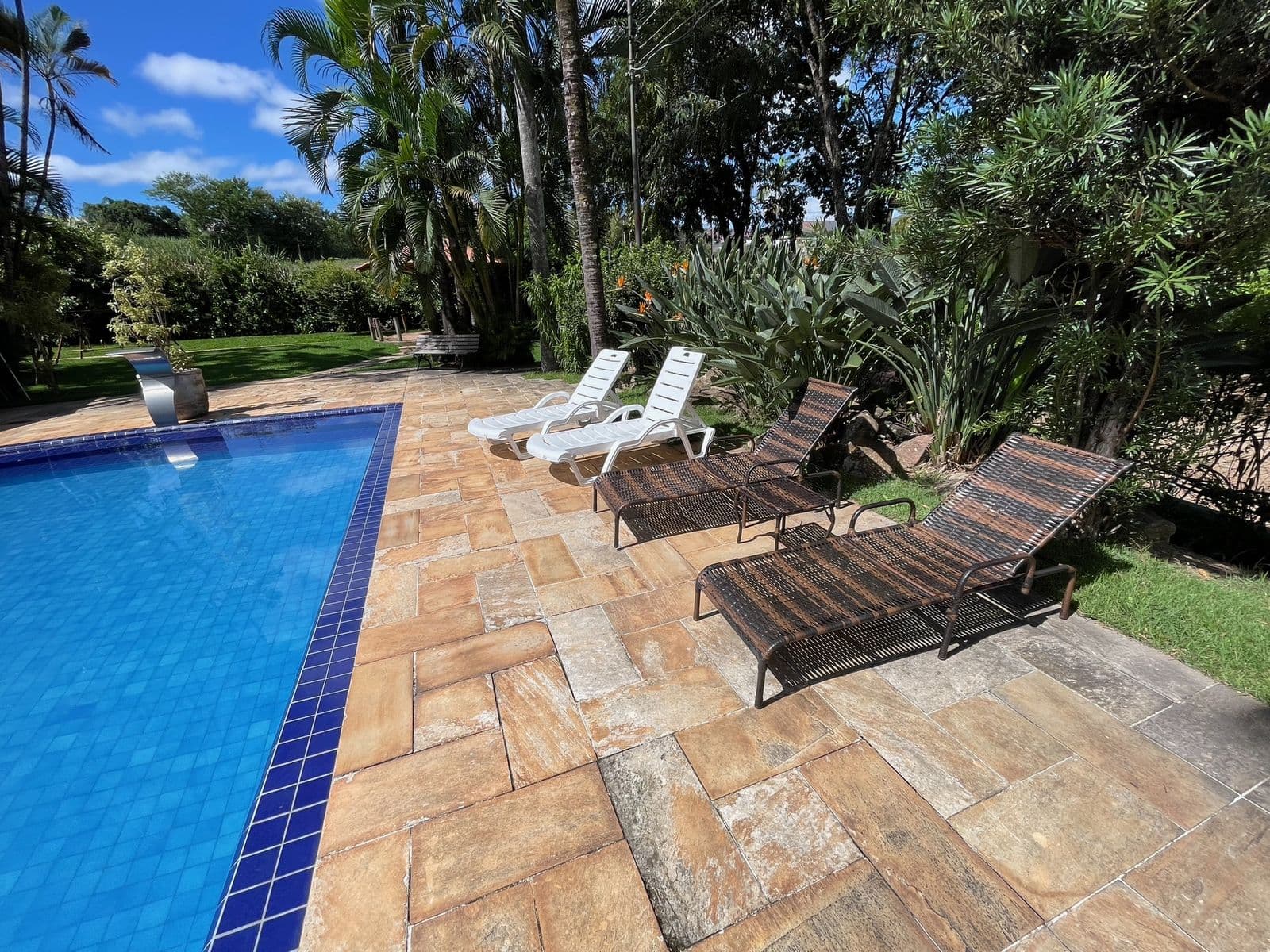 Espreguiçadeiras à beira da piscina, no piso de pedra cercado de plantas